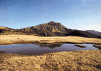 Parco del Gigante