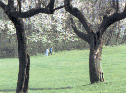 Parco Naturalistico di Roncolo