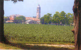 veduta torre